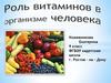 Роль витаминов в организме человека