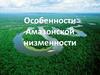 Особенности Амазонской низменности