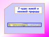 7 чудес живой и неживой природы
