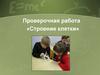 Проверочная работа «Строение клетки»