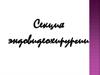 Секция эндовидеохирургии