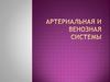 Артериальная и венозная системы