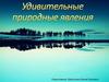 Удивительные природные явления