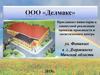 ООО «Делмакс». Приглашает инвесторов к совместной реализации проектов производств и логистического центра