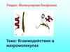 Взаимодействия в макромолекулах