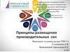 Принципы размещения производительных сил