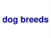 Dog breeds
