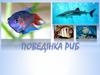 Поведінка риб