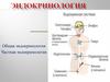 Эндокринология. Общая эндокринология. Частная эндокринология