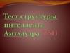 Тест структуры  интеллекта  Амтхауэра (TSI)