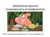 Заболевания органов пищеварения и их профилактика