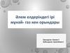 Әлем елдеріндегі ірі мұнай- газ кен орындары