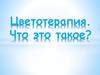 Цветотерапия, как метод нетрадиционной медицины