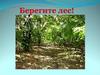 Берегите лес!
