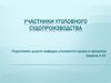 Участники уголовного судопроизводства. (Тема 2)