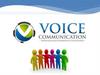 История и достижения. VoiceCommunication
