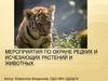 Мероприятия по охране редких и исчезающих растений и животных