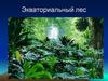 Экваториальный лес