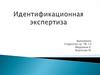 Идентификационая экспертиза
