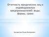 Отчетность юридических лиц и индивидуальных предпринимателей: виды, формы, сроки