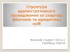 Структура адміністративного провадження за скаргою фізичних та юридичних осіб