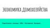 Домашнее хозяйство. Экономика домохозяйства