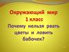 Путешествие в царство цветов и бабочек