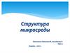 Структура микросреды
