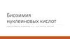 Биохимия нуклеиновых кислот