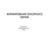 Формирование сенсорного образа. Лекция № 27