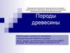 Художественная обработка дерева. Дом детского творчества