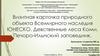 Визитная карточка природного объекта Всемирного наследия ЮНЕСКО. Девственные леса Коми. Печоро-Илычский заповедник