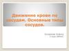 Движение крови по сосудам. Типы сосудов