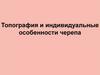 Топография и индивидуальные особенности черепа