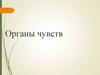 Органы чувств