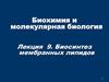 Биохимия и молекулярная биология. Биосинтез мембранных липидов. Лекция 9