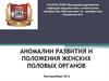 Аномалии развития и положения женских половых органов