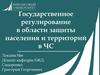 Государственное регулирование в области защиты населения и территорий в ЧС. Лекция №6