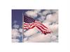 The United States of America (USA)