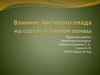 Влияние листового опада на состав и биотоп почвы