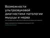 Возможности ультразвуковой диагностики патологии мышцы и нерва