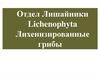 Отдел Лишайники. Lichenophyta. Лихенизированные грибы