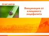 Вакцинация от клещевого энцефалита