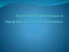 Значение насекомых в природе и жизни человека