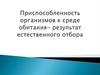 Приспособленность организмов к среде обитания, как результат естественного отбора