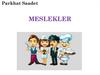 Meslekler