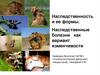 Наследственность и ее формы. Наследственные болезни как вариант изменчивости