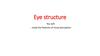 Class eye structure