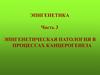 Эпигенетика. Эпигенетическая патология в процессах канцерогенеза. Часть 3-1