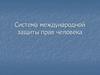Международная защита прав человека